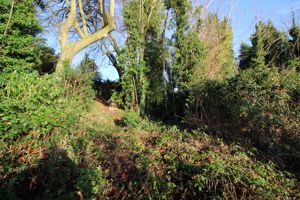 WOODLAND VIEW - click for photo gallery